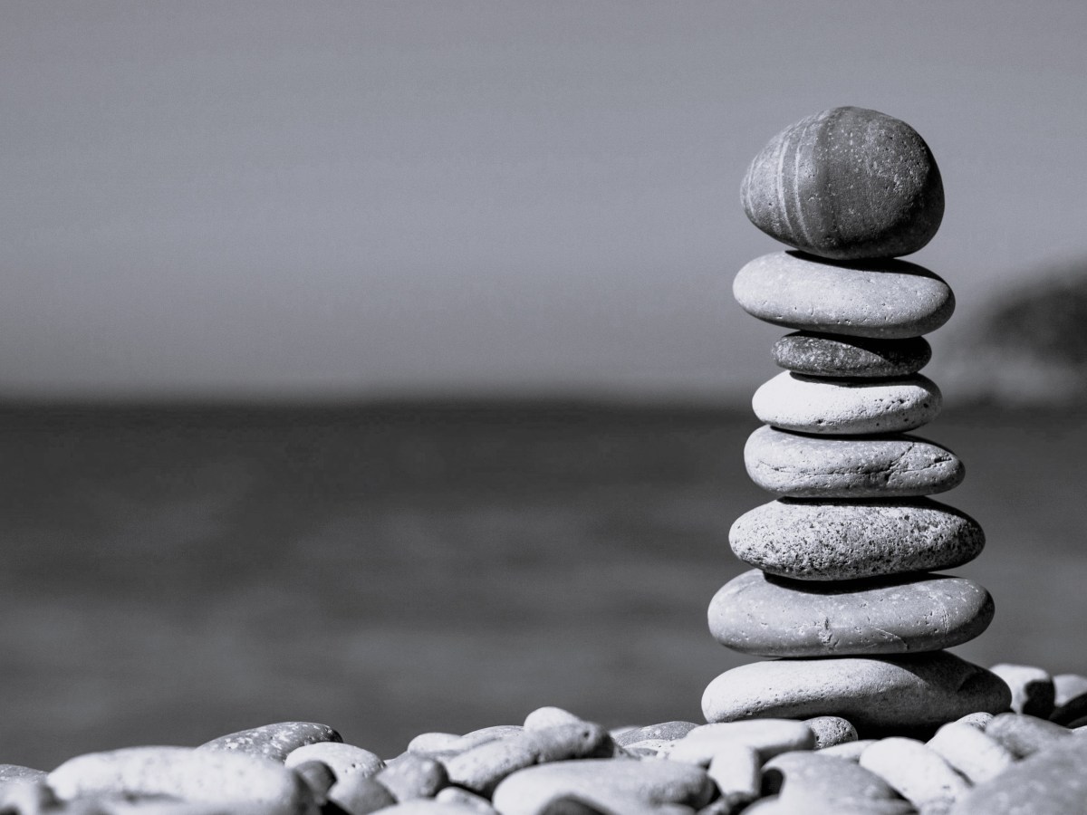 The Sustainability report