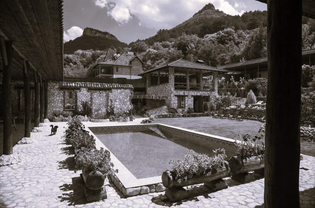 black-and-white image depicting a country cottage in the Italian hills with a swimming pool, flowers and a little dog happily walking about